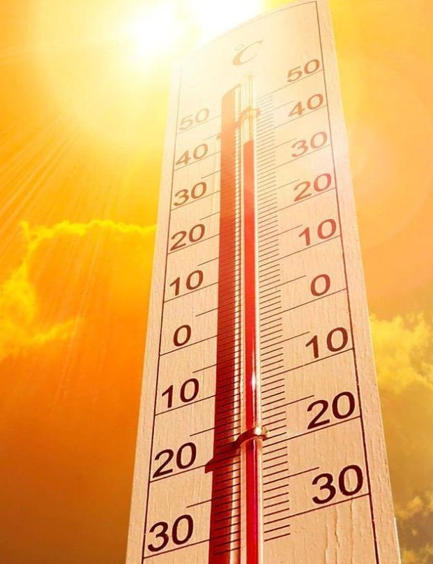 canicule